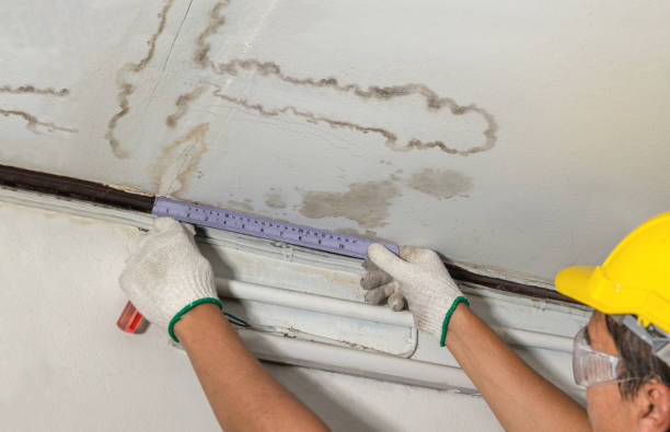 Reliable Mold Remediation contractor in Stoughton, MA by Local Water Damage Repair